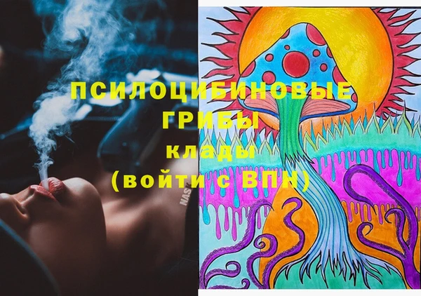 крисы Белоозёрский