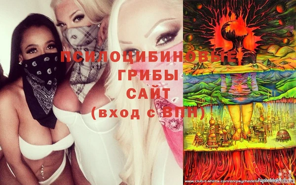 крисы Белоозёрский