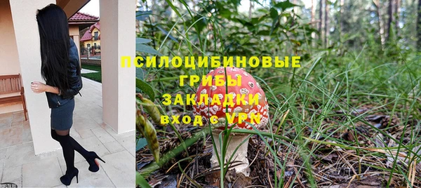 крисы Белоозёрский